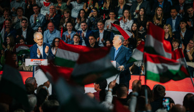Háborúellenes gyűlést tartottak Kaposváron - GALÉRIA
