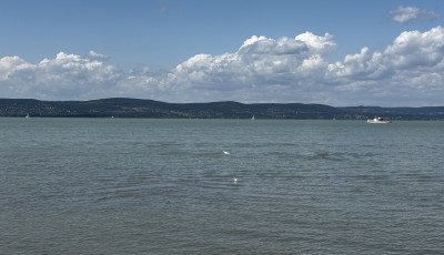 Kevesebb k&uuml;lf&ouml;ldi turista &eacute;rkezett id&eacute;n a Balatonhoz