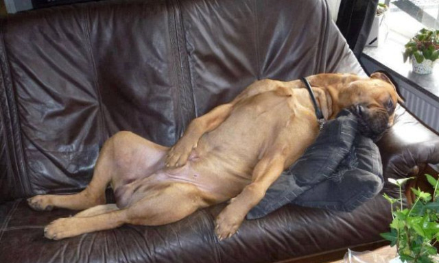 A hossz&uacute; h&eacute;tv&eacute;ge &aacute;ra: j&ouml;vő h&eacute;t szombaton is tan&iacute;t&aacute;s lesz