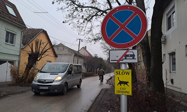 Szegeden macsk&aacute;s t&aacute;bl&aacute;k &oacute;vj&aacute;k a cic&aacute;k biztons&aacute;g&aacute;t