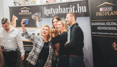 Ezek lettek az &Eacute;v kutyabar&aacute;t helyei 2025-ben