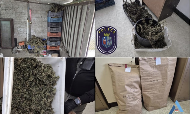 Plafonig pakolta a f&uuml;vet: &iacute;gy bukott le a kecskem&eacute;ti d&iacute;ler