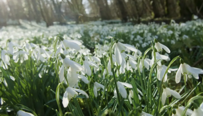 Ildik&oacute; ma megmutatja, milyen időj&aacute;r&aacute;s v&aacute;rhat r&aacute;nk a k&ouml;vetkező hetekben