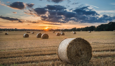 Felsz&oacute;lalt az agr&aacute;rkamara - A szalmab&aacute;la nem fot&oacute;z&aacute;si kell&eacute;k!