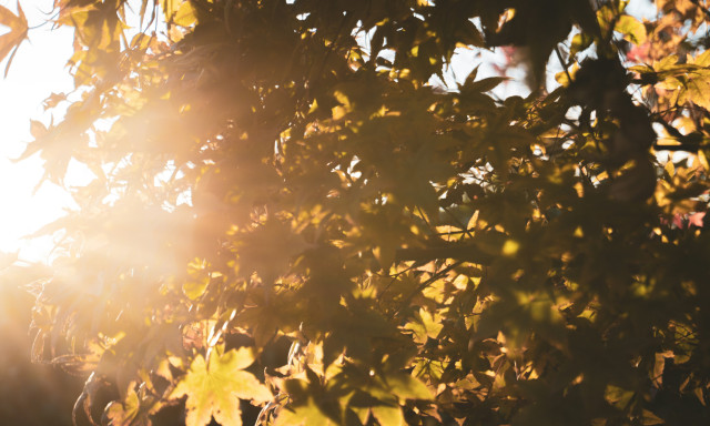 Vas&aacute;rnapt&oacute;l tavasz van, nincs apell&aacute;ta, mindegy, milyen az idő