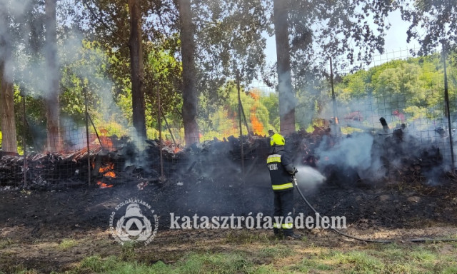 Farak&aacute;s &eacute;gett F&uuml;l&ouml;psz&aacute;ll&aacute;son &eacute;s 4 hekt&aacute;ron a tarl&oacute; Orgov&aacute;nyn&aacute;l