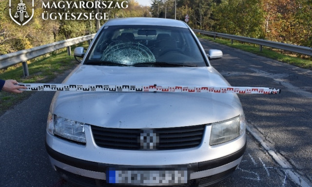 Nem az utat figyelte, hal&aacute;lra g&aacute;zolta a ker&eacute;kp&aacute;rj&aacute;t tol&oacute; gyalogost