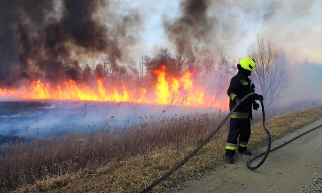 Tarl&oacute; &eacute;gett P&aacute;lmonostora k&uuml;lter&uuml;let&eacute;n &eacute;s Dunatet&eacute;tlen t&eacute;rs&eacute;g&eacute;ben is