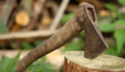 "Csib&eacute;szelni tan&iacute;totta, hogy kem&eacute;ny kutya legyen" - balt&aacute;val kergette &eacute;s &uuml;t&ouml;tte kuty&aacute;j&aacute;t az &aacute;llatk&iacute;nz&oacute;