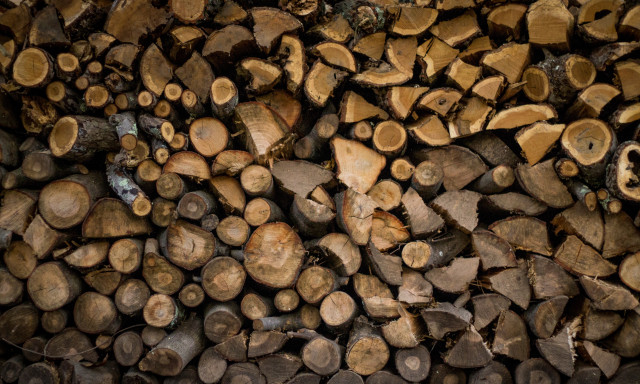 Megjelentek a tűzifacsal&oacute;k &ndash; a N&eacute;bih &oacute;vatoss&aacute;gra inti a lakoss&aacute;got