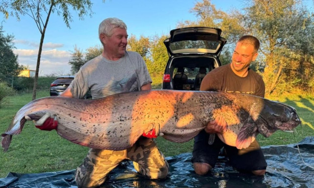 Gigaharcs&aacute;t fogtak a Csaba-t&oacute;b&oacute;l: 2,16 m&eacute;ter, 70 kil&oacute;