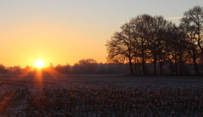 Itt az Orsolya-nap - Ma kider&uuml;lhet, milyen lesz az idei t&eacute;l!