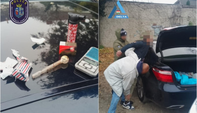 Aut&oacute;j&aacute;b&oacute;l porci&oacute;zta a k&aacute;bszit a kecskem&eacute;ti d&iacute;ler