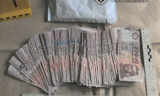 Baja k&ouml;rny&eacute;ki bűnband&aacute;t kapcsoltak le - D&iacute;lerkedtek, p&eacute;nzt hamis&iacute;tottak, meg ami esz&uuml;kbe jutott