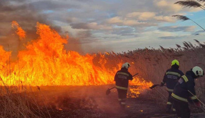 N&aacute;das &eacute;gett Miske hat&aacute;r&aacute;ban