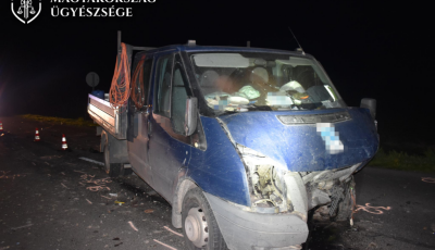 Hal&aacute;los balesetet okozott