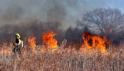 Foltokban &eacute;gett a n&aacute;das Szakm&aacute;r k&uuml;lter&uuml;let&eacute;n