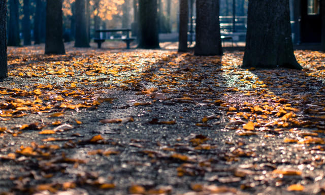 M&aacute;r csak huszonegyet kell aludni a hossz&uacute; h&eacute;tv&eacute;g&eacute;ig