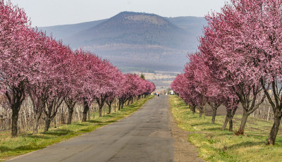 Gergely napja megmutathatja, milyen lesz a tavasz
