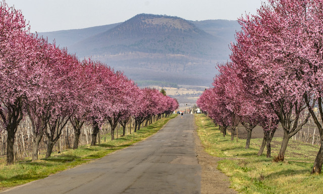 Gergely napja megmutathatja, milyen lesz a tavasz